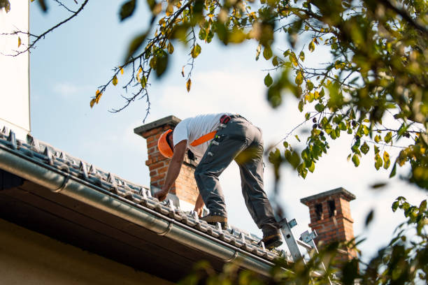 Best Metal Roofing Contractor  in Eerlin, ND