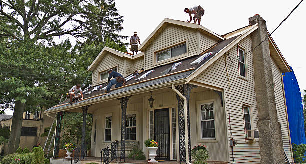 Best Metal Roofing Contractor  in Eerlin, ND