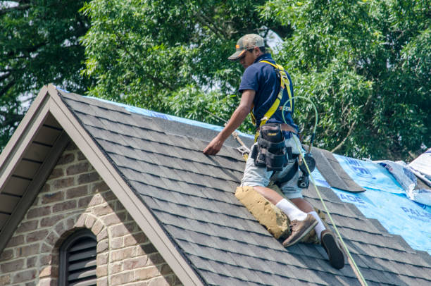 Best Emergency Roof Repair  in Eerlin, ND